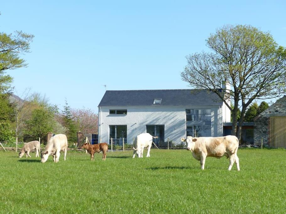 Barn Lane @ Drumagosker Rural Retreats Ardmore Exteriér fotografie